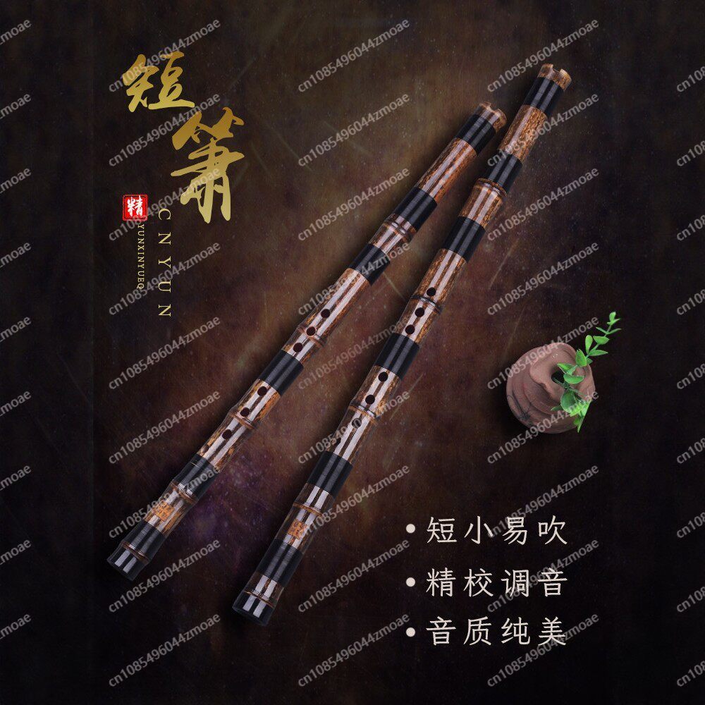 Profesjonalna fletka bambusowa – Musical Instrument Xiao recenzja i cena
