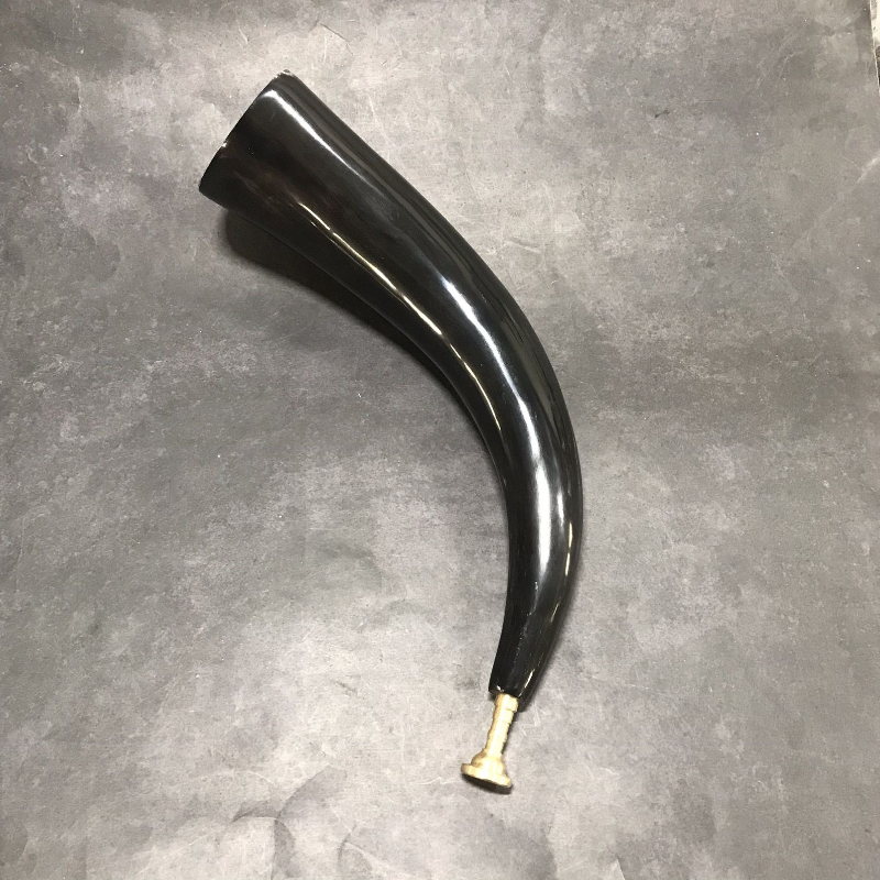 Profesjonalny czarny rogiak z  – Musical Instrument Horn recenzja i cena